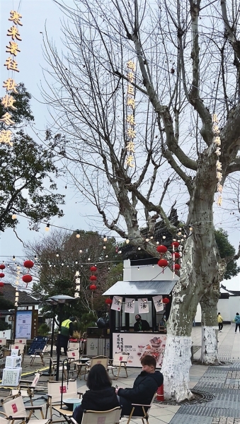 大树上挂着一串串亮眼的对联灯牌。