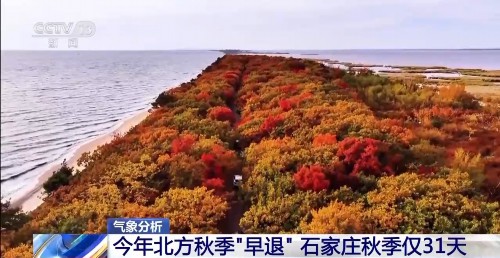 多地秋天“迟到早退” 秋季为何越来越短了？