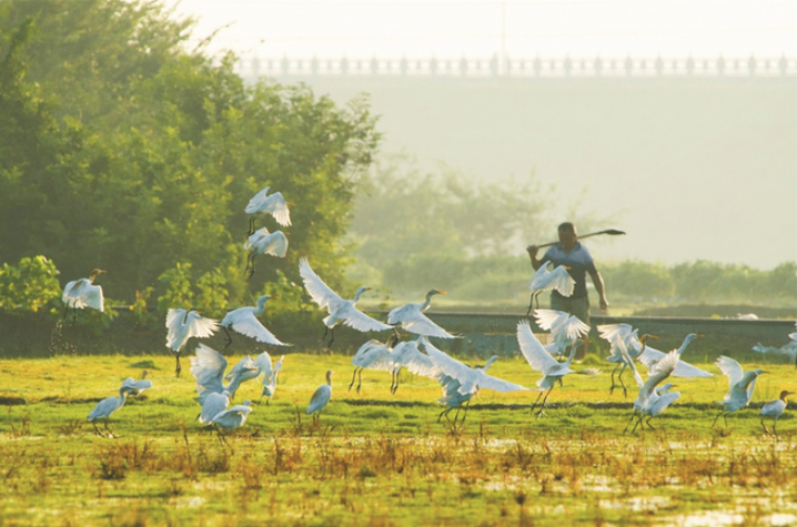 《乐园》 镇江 薛强 摄