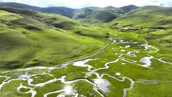 【1】蓝天白云下，大海草山野花绽放、绿草茵茵。刘光信摄.jpg?x-oss-process=style/w10