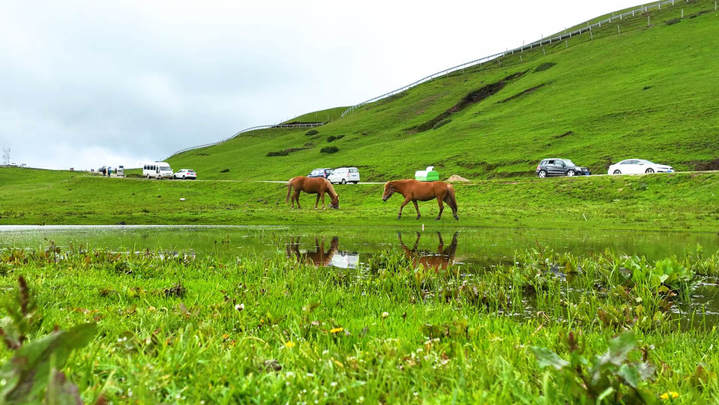 【5】蓝天白云下，大海草山野花绽放、绿草茵茵。刘光信摄.jpg?x-oss-process=style/w10