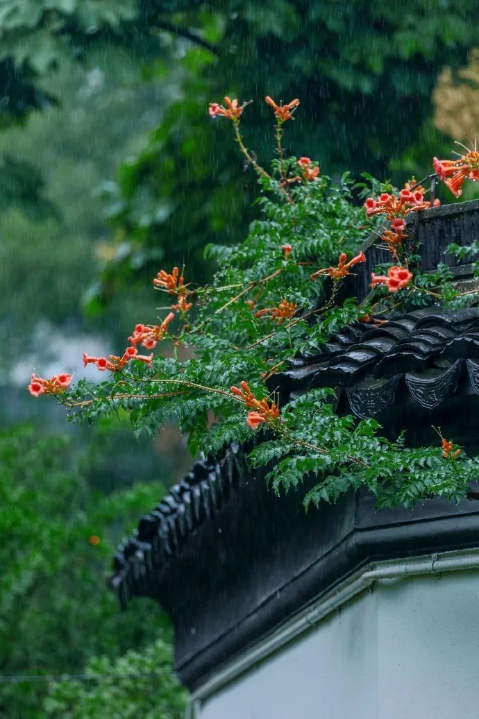 6e54080cly1hfanrbtsboj228g3cskjn.jpg 图片