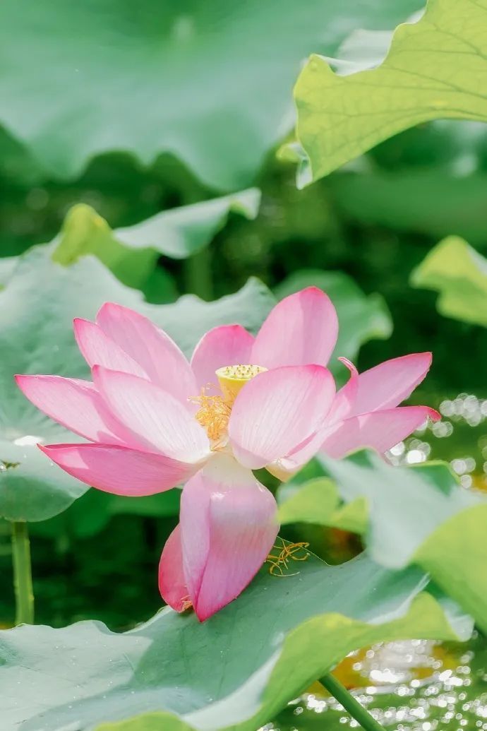 6e54080cly1hfqihmdlzyj21jk2bchdt.jpg 图片