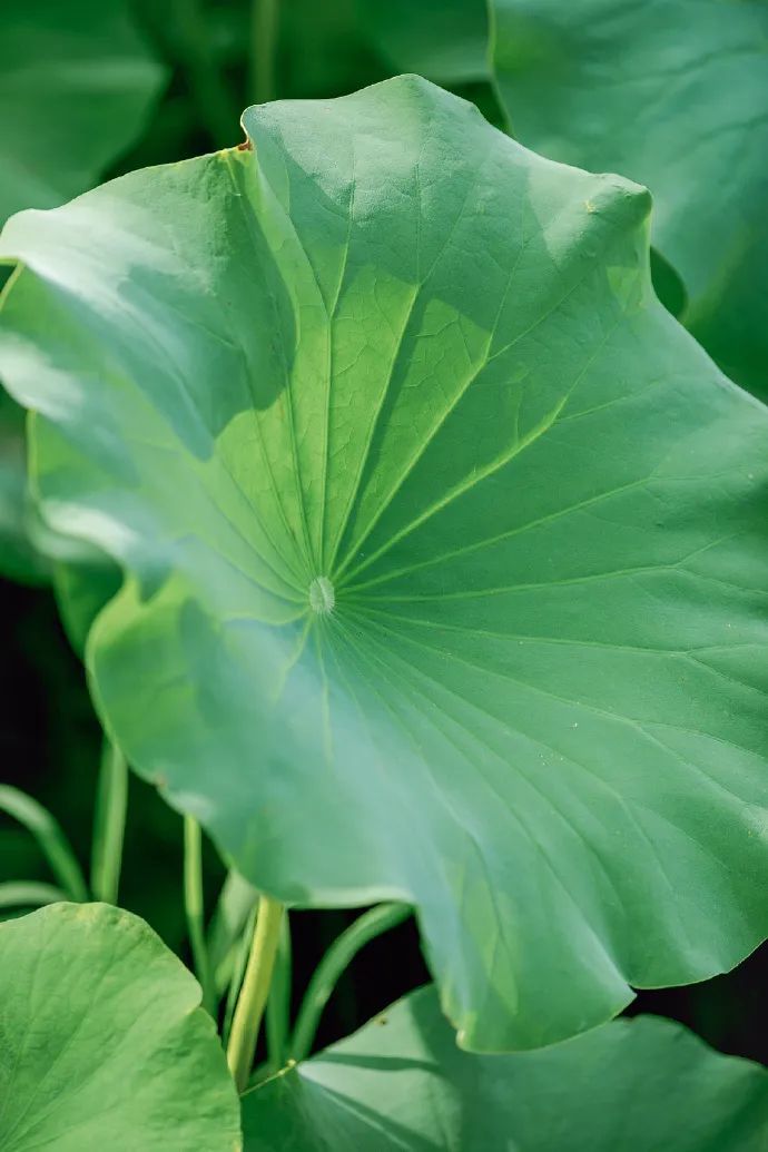 6e54080cly1hfqihzeutlj21jk2bce82.jpg 图片