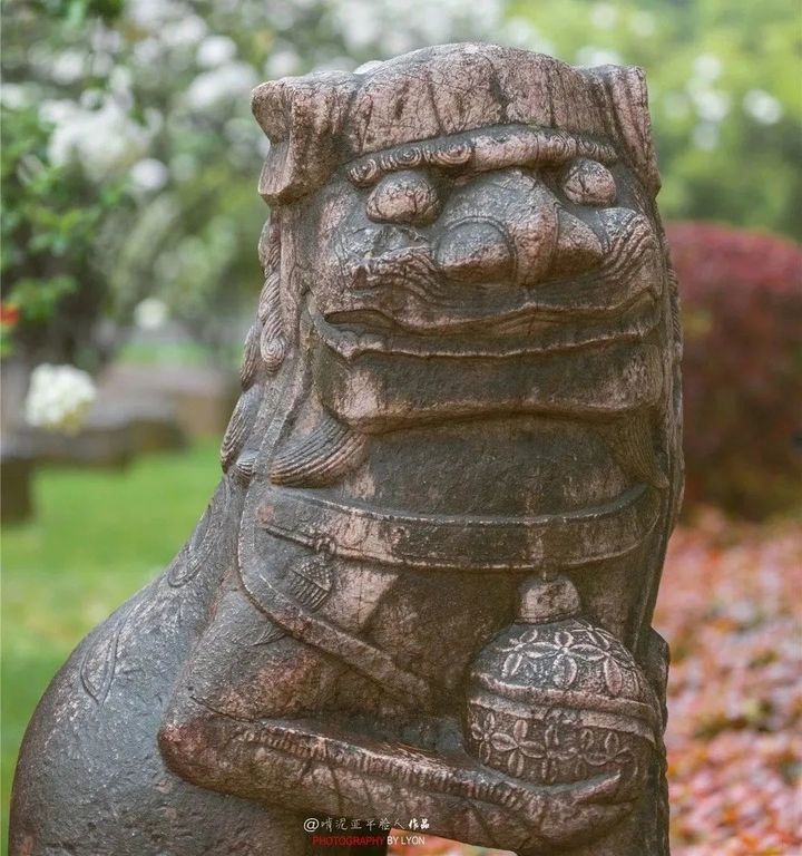 47ce1c89ly1gp53kcrrl6j20u018ztla.jpeg 图片