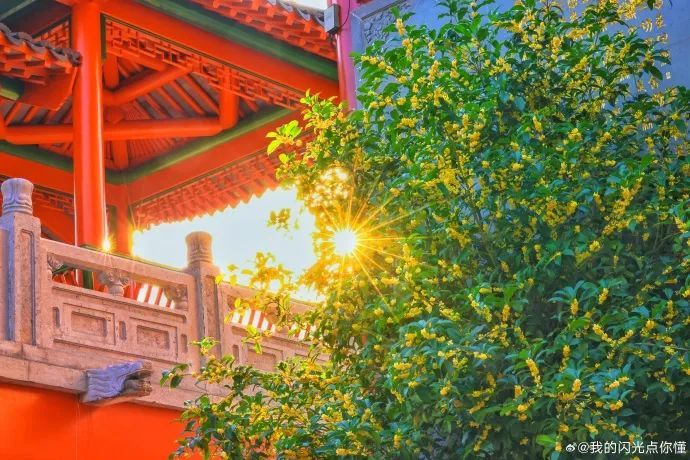 9e993e69ly1hhpeg64zdlj26bk47se8c.jpg 图片