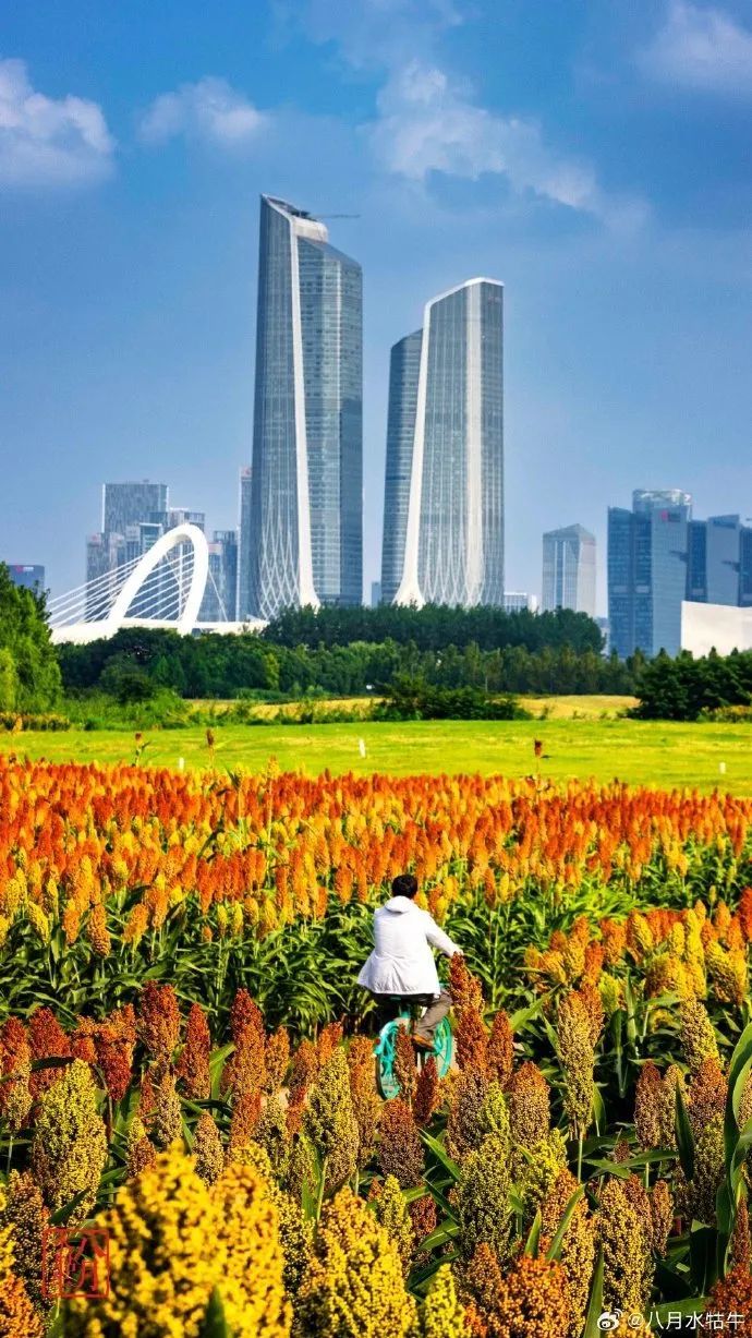 87558e62ly1hhosr43lebj20u01hctov.jpg 图片