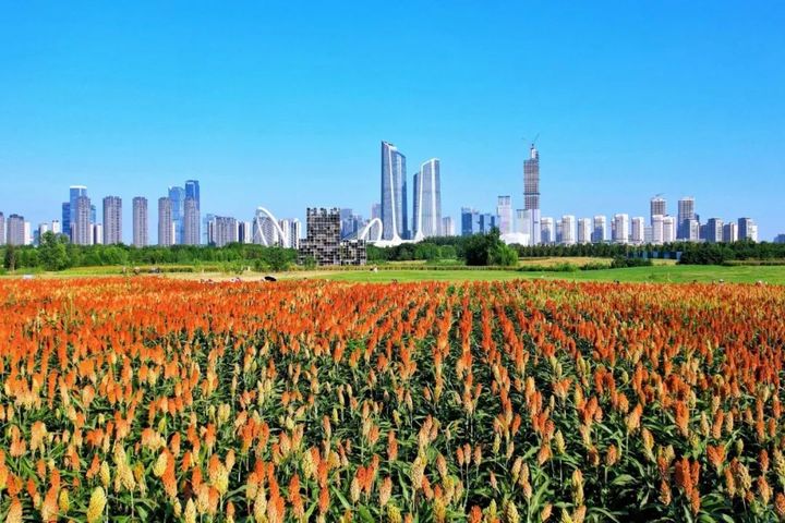 87558e62ly1hhosr4stbpj21ff0u0qjo.jpg 图片