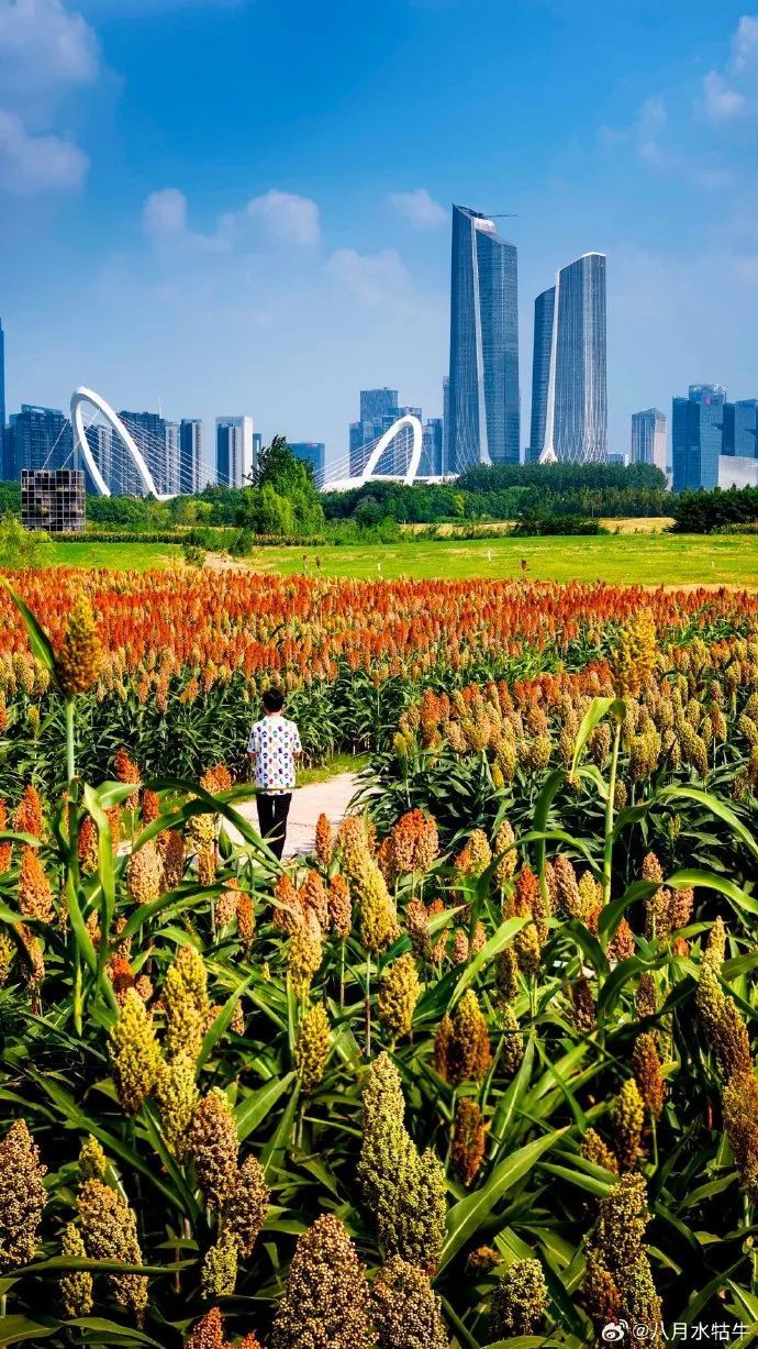 87558e62ly1hhosr6jdisj20u01hdqls.jpg 图片