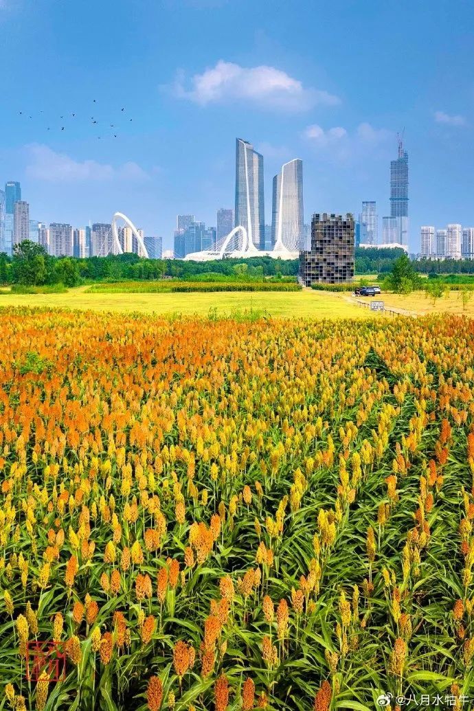 87558e62ly1hhosr39cftj20u0190k7v.jpg 图片