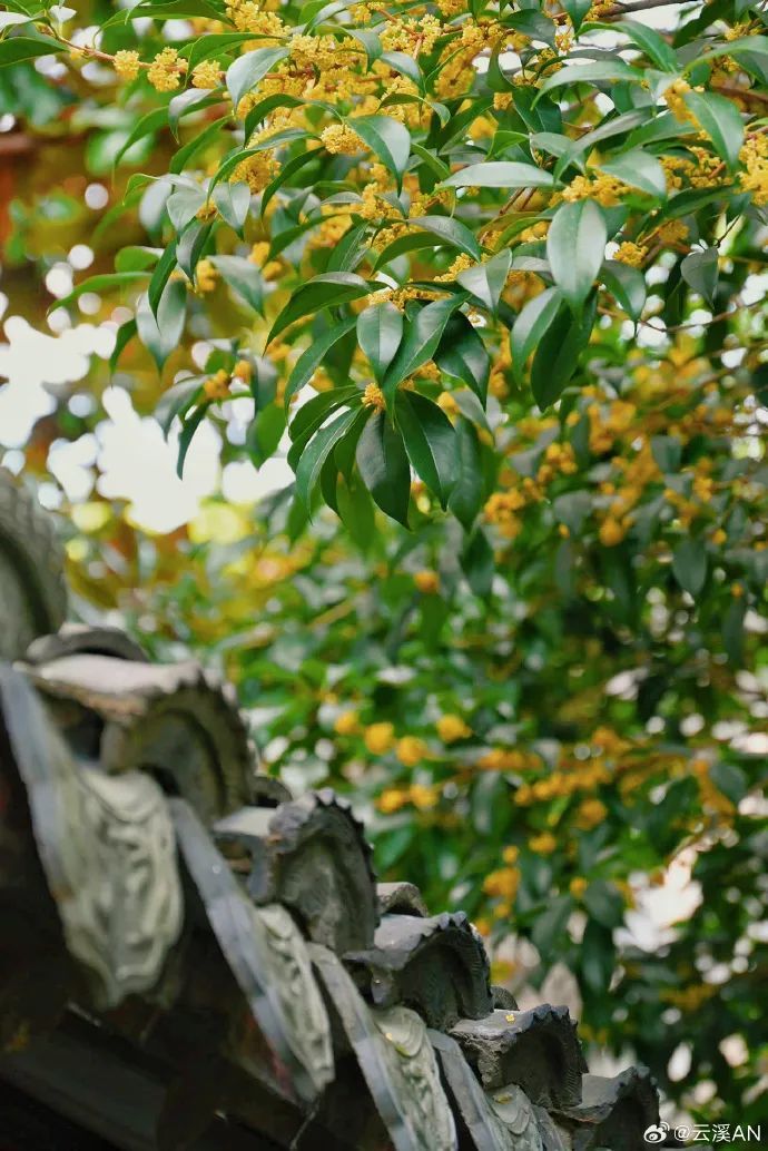 e11e91c1ly1hhm07tbtwzj20zi1h87wh.jpg 图片