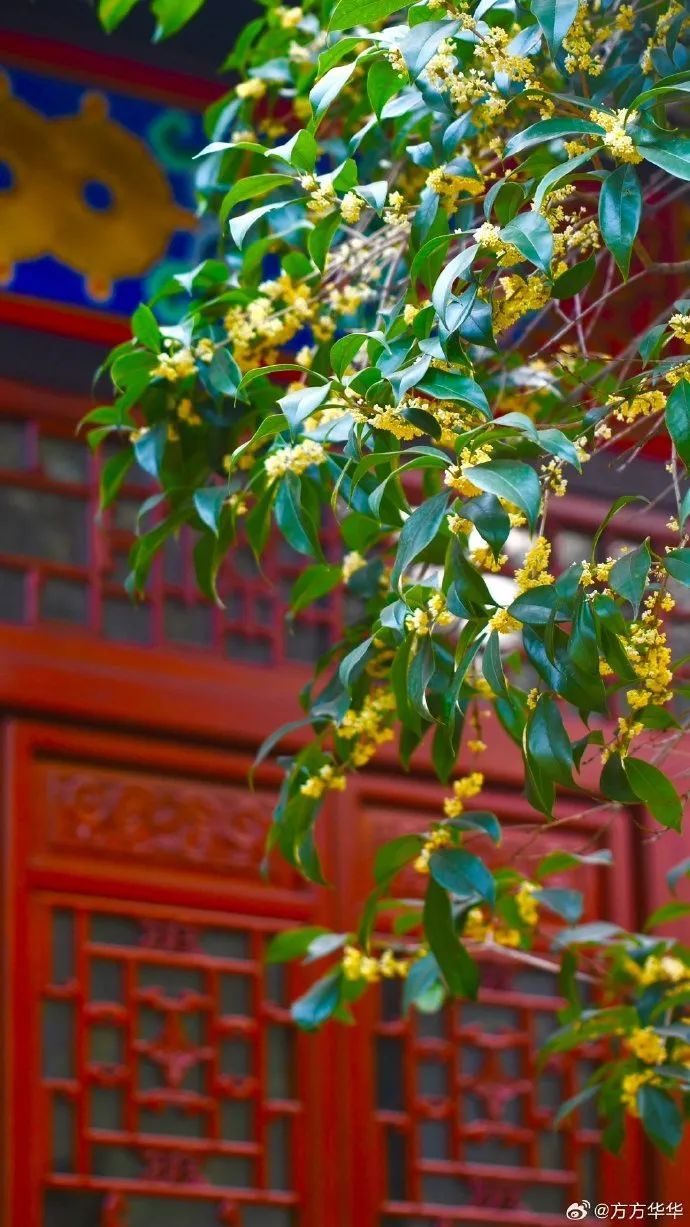 7232835aly1hhonz0a0paj20u01hcdpb.jpg 图片