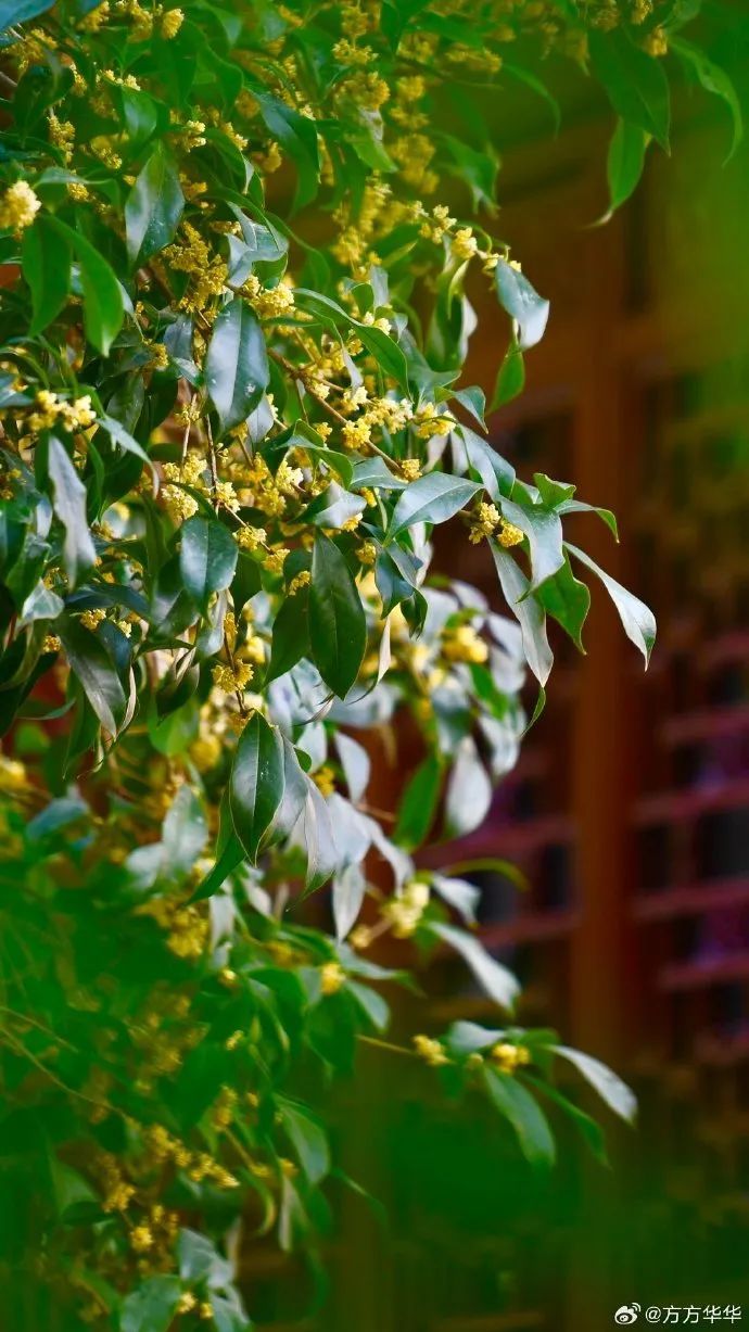 7232835aly1hhonz1leshj20u01hcn5m.jpg 图片