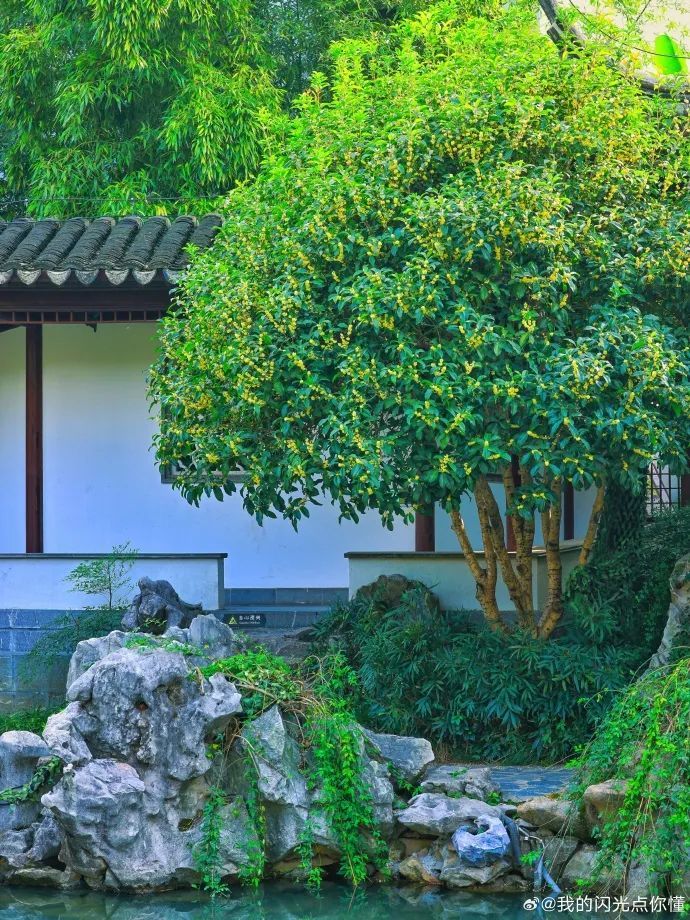 9e993e69ly1hhpefnhw7lj247s5mdnpr.jpg 图片