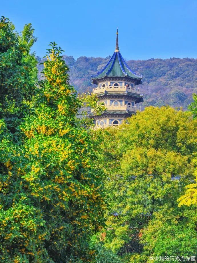 9e993e69ly1hhpehdq4gzj247s5mdhe5.jpg 图片