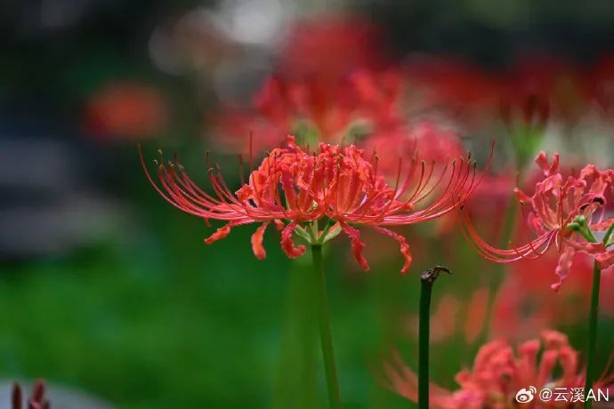 e11e91c1ly1hhhe1r0nloj21h80zi15z.jpg 图片