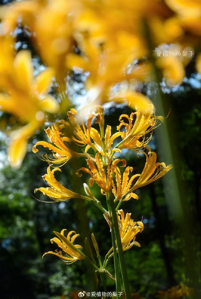 69d5c3eagy1hgya0s543lj219v1vzqv5.jpg 图片