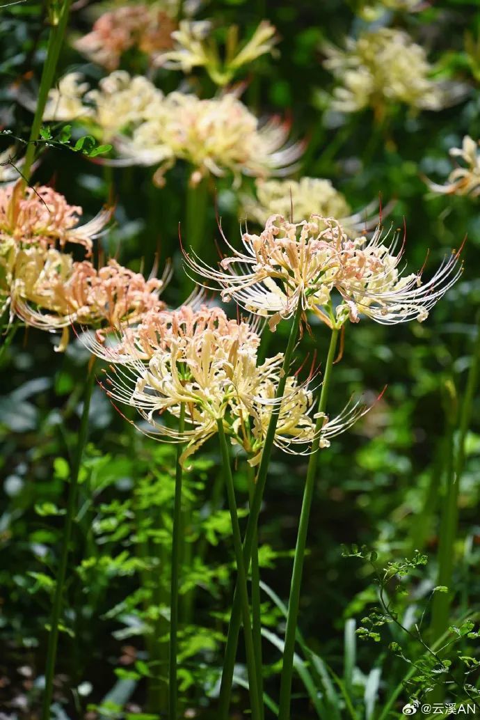 e11e91c1ly1hhijgomw2gj20zi1h8wzp.jpg 图片