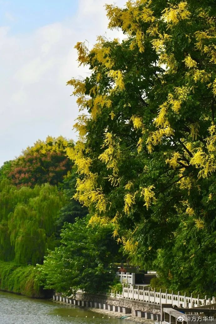 0025EYvoly1gui3qvv7fyj60u0190k8k02.jpg 图片