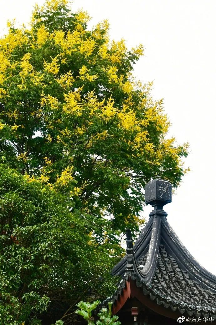 0025EYvoly1gui3qxk58nj60u0190av402.jpg 图片