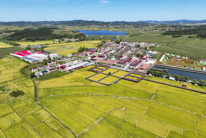 111111.png 111111.png