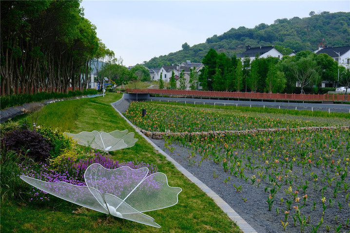 江苏苏州:推动生态文明建设迈上新台阶 厚植高质量发展新动能_我苏网