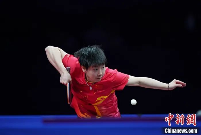 图为孙颖莎在比赛中。中新社记者 田博川 摄 图为孙颖莎在比赛中。中新社记者 田博川 摄