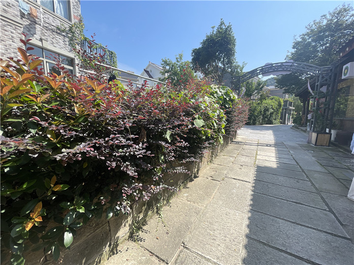 打卡杭州亚运会丨“画外桐坞”的深层蜕变 完美诠释杭州的时代活力 打卡杭州亚运会丨“画外桐坞”的深层蜕变 完美诠释杭州的时代活力