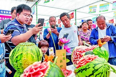 丰产增收落地生花——山东潍坊探索建设农业强市新路径