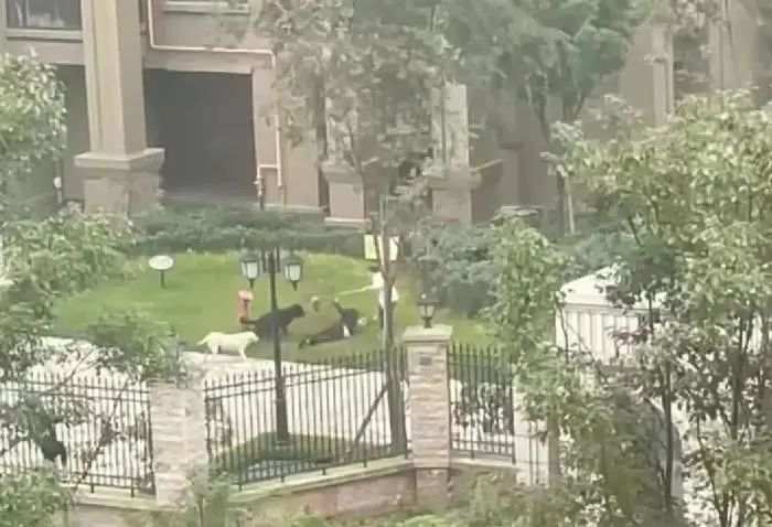 640 (1).jpg?x-oss-process=style/w10