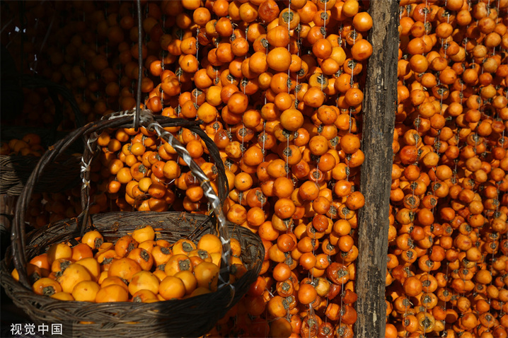 2020年11月1日，山西长治，黎城县秋树垣秋柿丰收，各农户家都在屋外挂晒柿子、制作柿饼。
