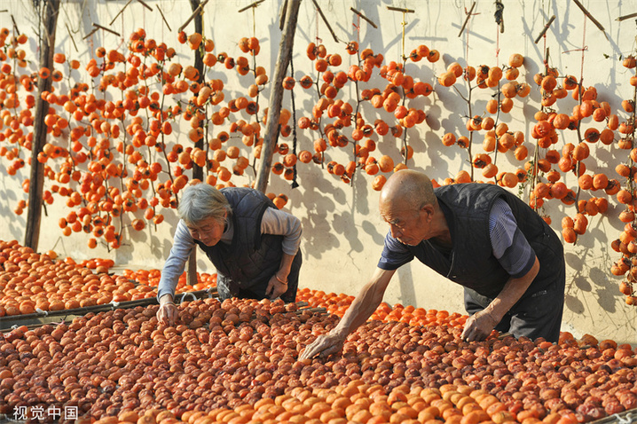 2022年10月17日，山西运城，秦忠孝老人和老伴在整理晾晒的柿饼。
