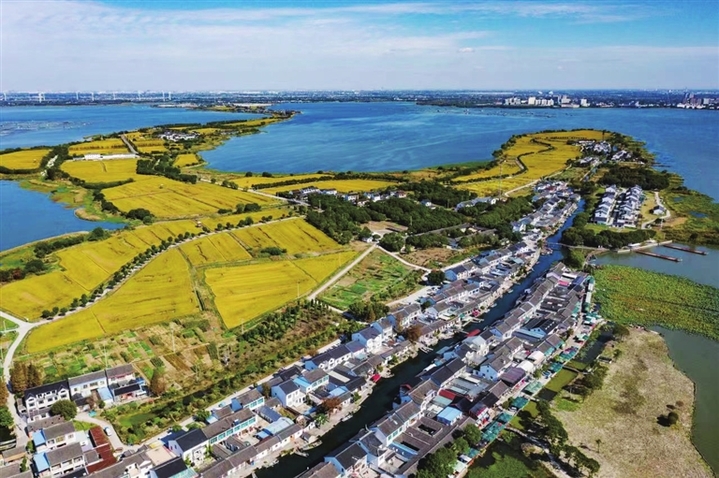 相城区打造美丽乡村,围绕阳澄湖构建乡村振兴新美景。记者 李渊摄 相城区打造美丽乡村,围绕阳澄湖构建乡村振兴新美景。记者 李渊摄