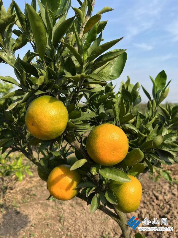 206af73f6ff20584933510f687752a5a