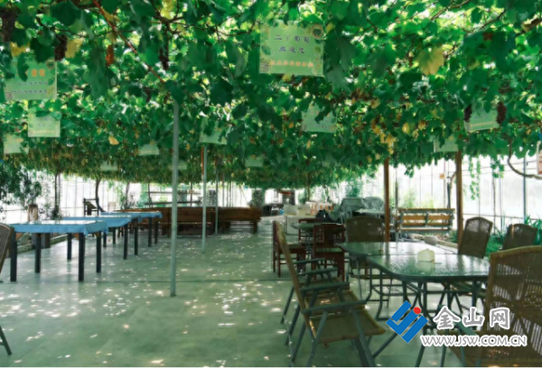 116d0d8ece739abdc9a20b9466500636