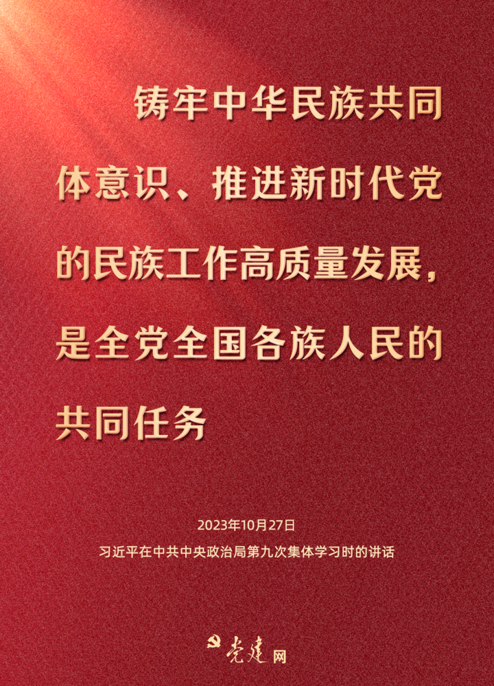 一图学习丨铸牢中华民族共同体意识,总书记这样强调_荔枝网新闻