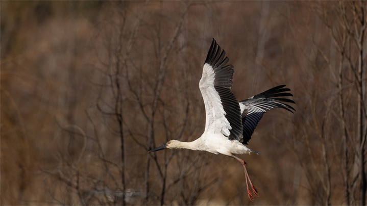 微信图片_20231214204333.jpg?x-oss-process=style/w10