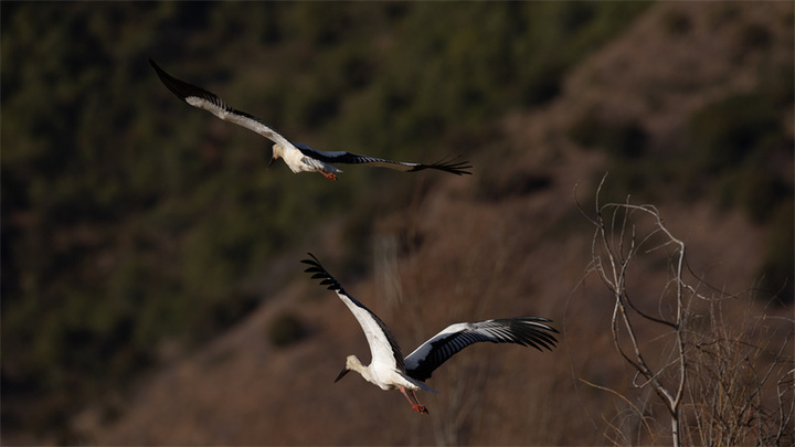 微信图片_20231214204338.jpg?x-oss-process=style/w10