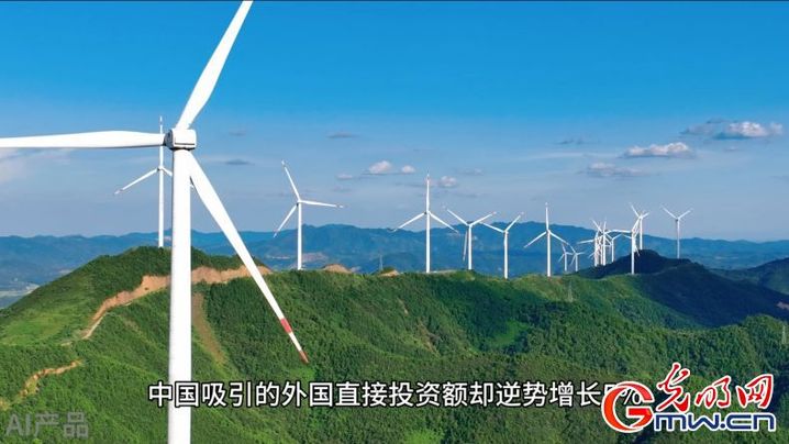 强信心 促发展丨扩大高水平对外开放 下一个“中国”还是中国