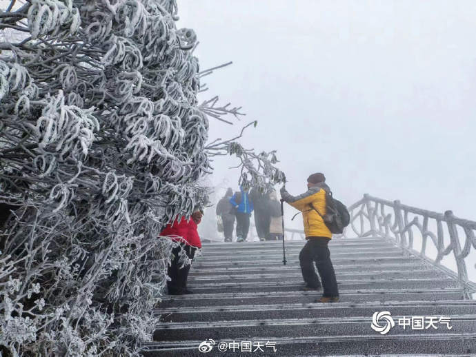 114.jpg?x-oss-process=style/w10