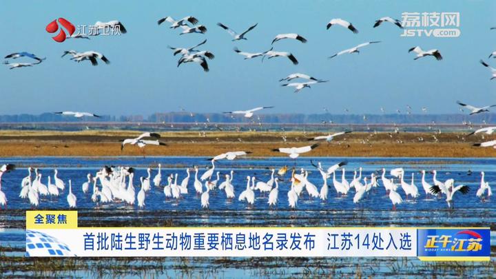 全聚焦首批陸生野生動物重要棲息地名錄發佈江蘇14處入選