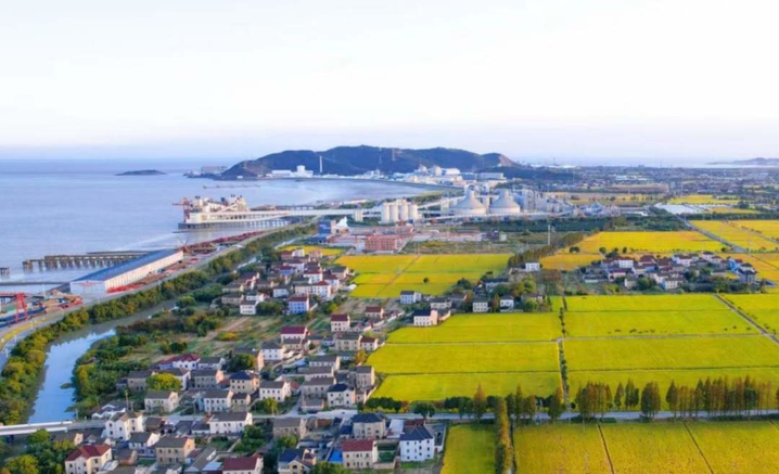 3.png?x-oss-process=style/w10