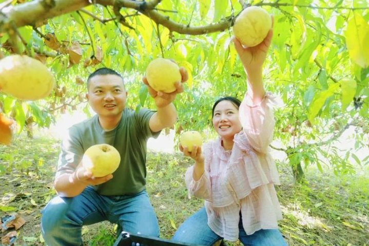 图片来源：淮安市委网信办