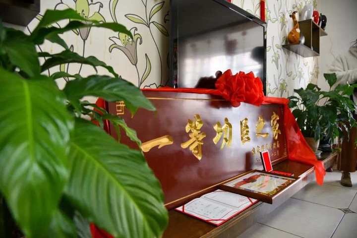 泥土9.jpeg?x-oss-process=style/w10