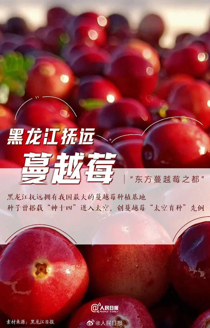 0033ImPzly1hlqhscsj2xj60n3100n7102.jpg?x-oss-process=style/w10