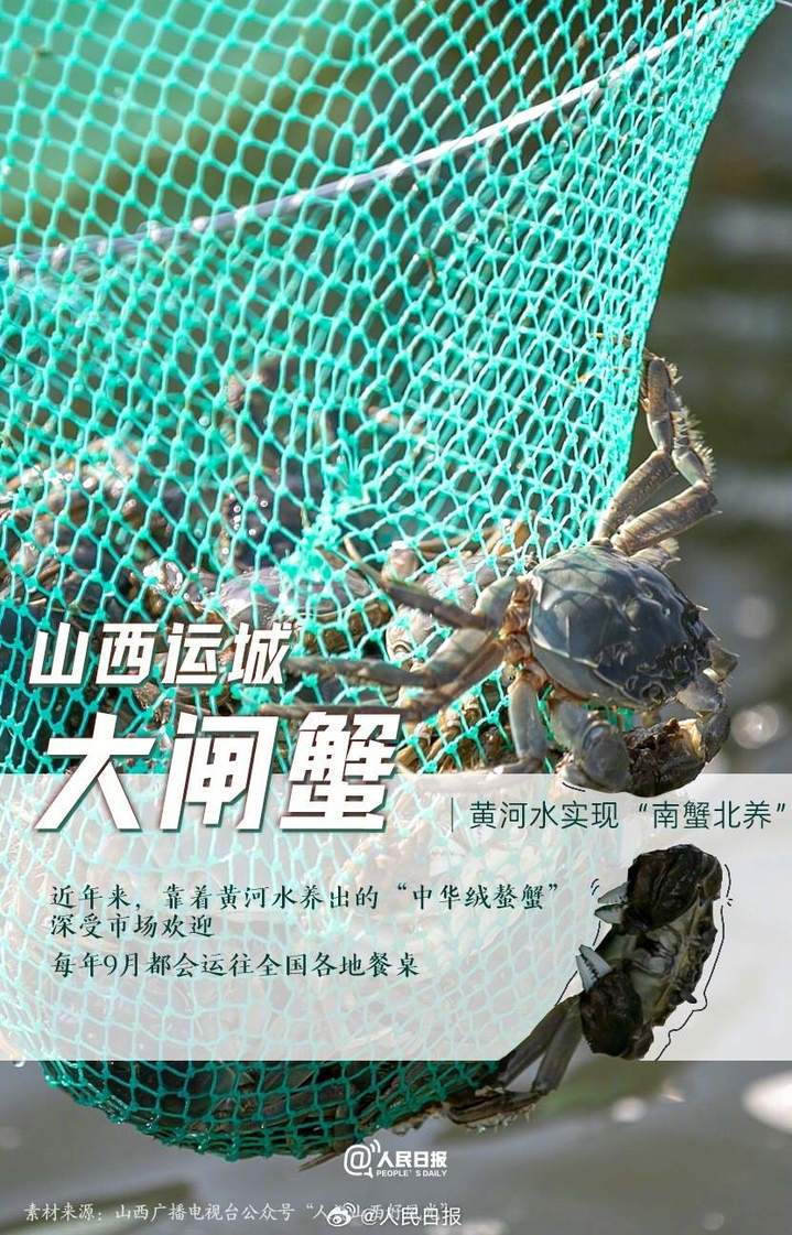 0033ImPzly1hlqhscsxkgj60n3100nay02.jpg?x-oss-process=style/w10