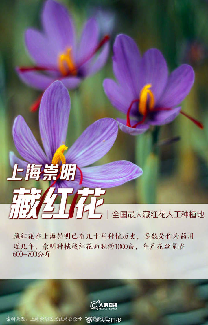 0033ImPzly1hlqhscyz1oj60n3100ajy02.jpg?x-oss-process=style/w10