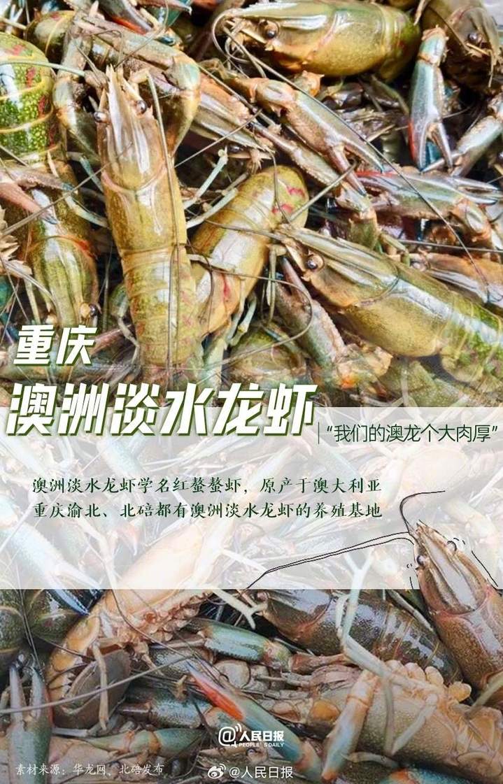 0033ImPzly1hlqhscrlcjj60n3100gyc02.jpg?x-oss-process=style/w10