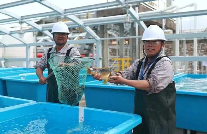 640-1.jpg?x-oss-process=style/w10