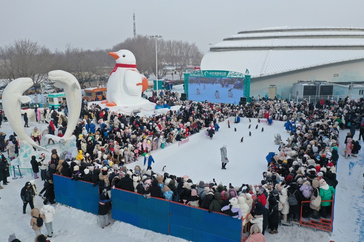 1706068209450850.jpg?x-oss-process=style/w10 a647df22631437cbc4d63a120b53073.jpg?x-oss-process=style/w10